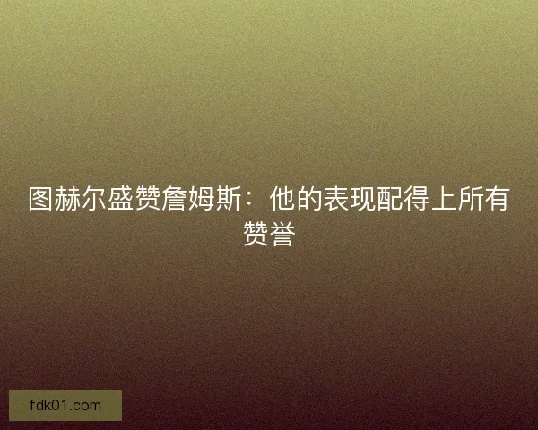 图赫尔盛赞詹姆斯：他的表现配得上所有赞誉